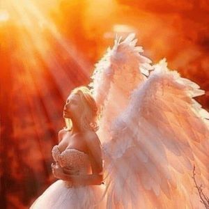 Meet your Posher, Namaste